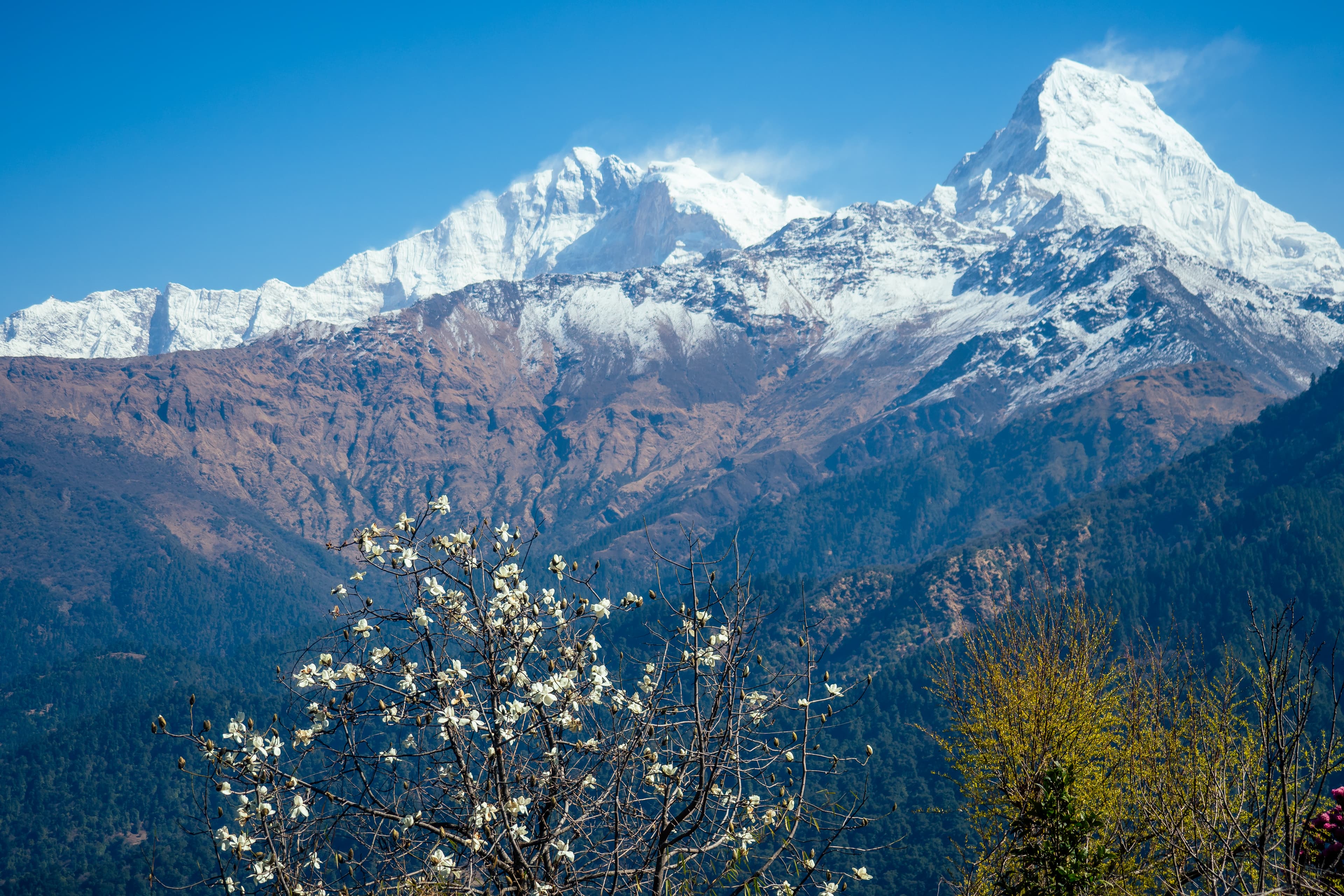 Everest Region trekking region