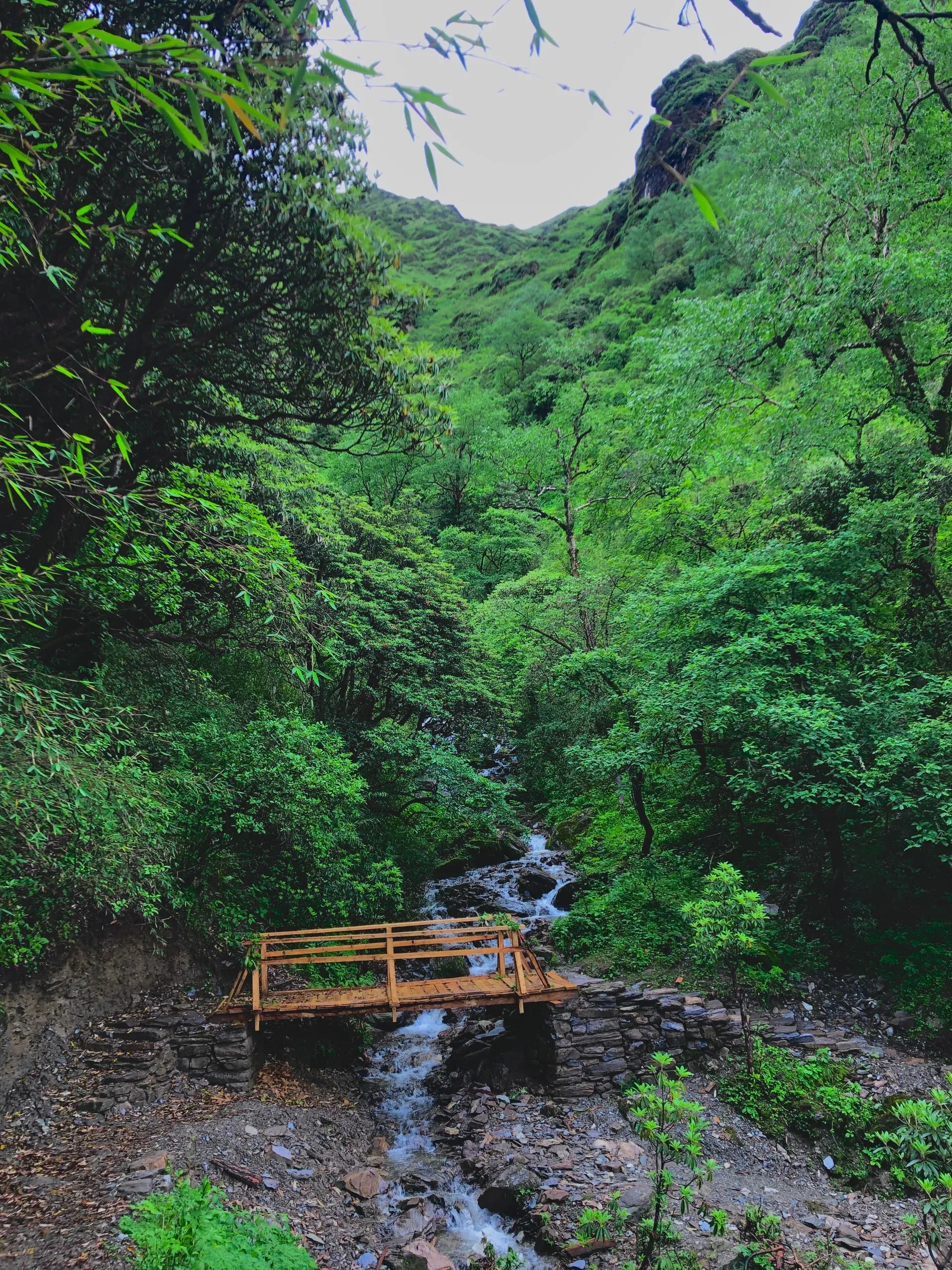 Wooden footbridge over a forest stream on the Pakhathar to Garpachheda trail