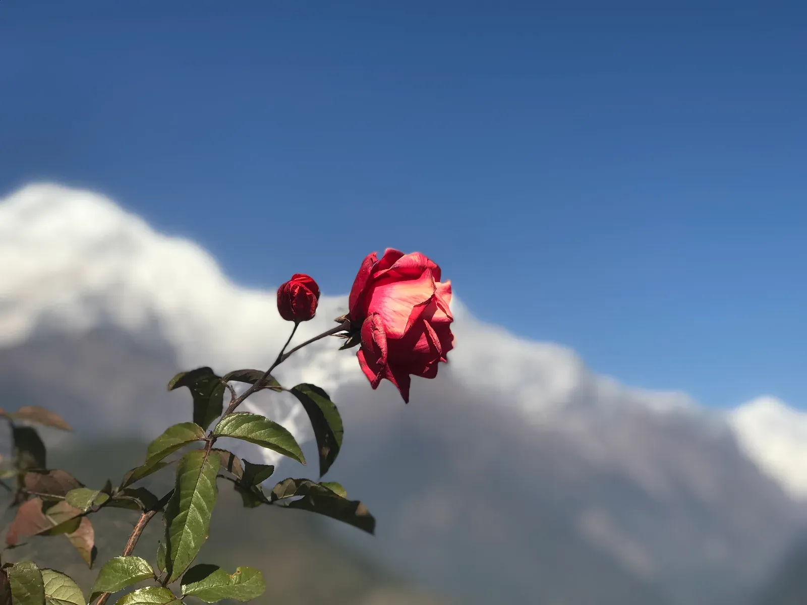 Ghandruk village in the Annapurna foothills on the Annapurna Base Camp trek.
