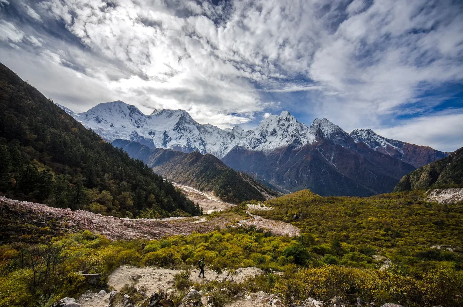 Descent from Bimthang through forest toward Tilije after crossing Larkya La.