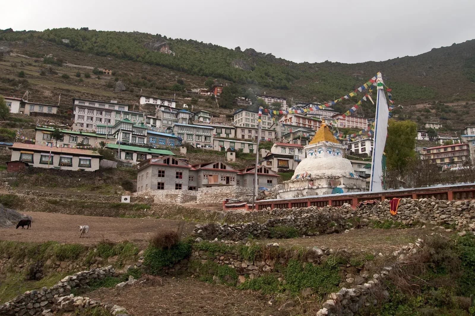 Namche Bazaar acclimatisation hike on the Everest Base Camp trek.