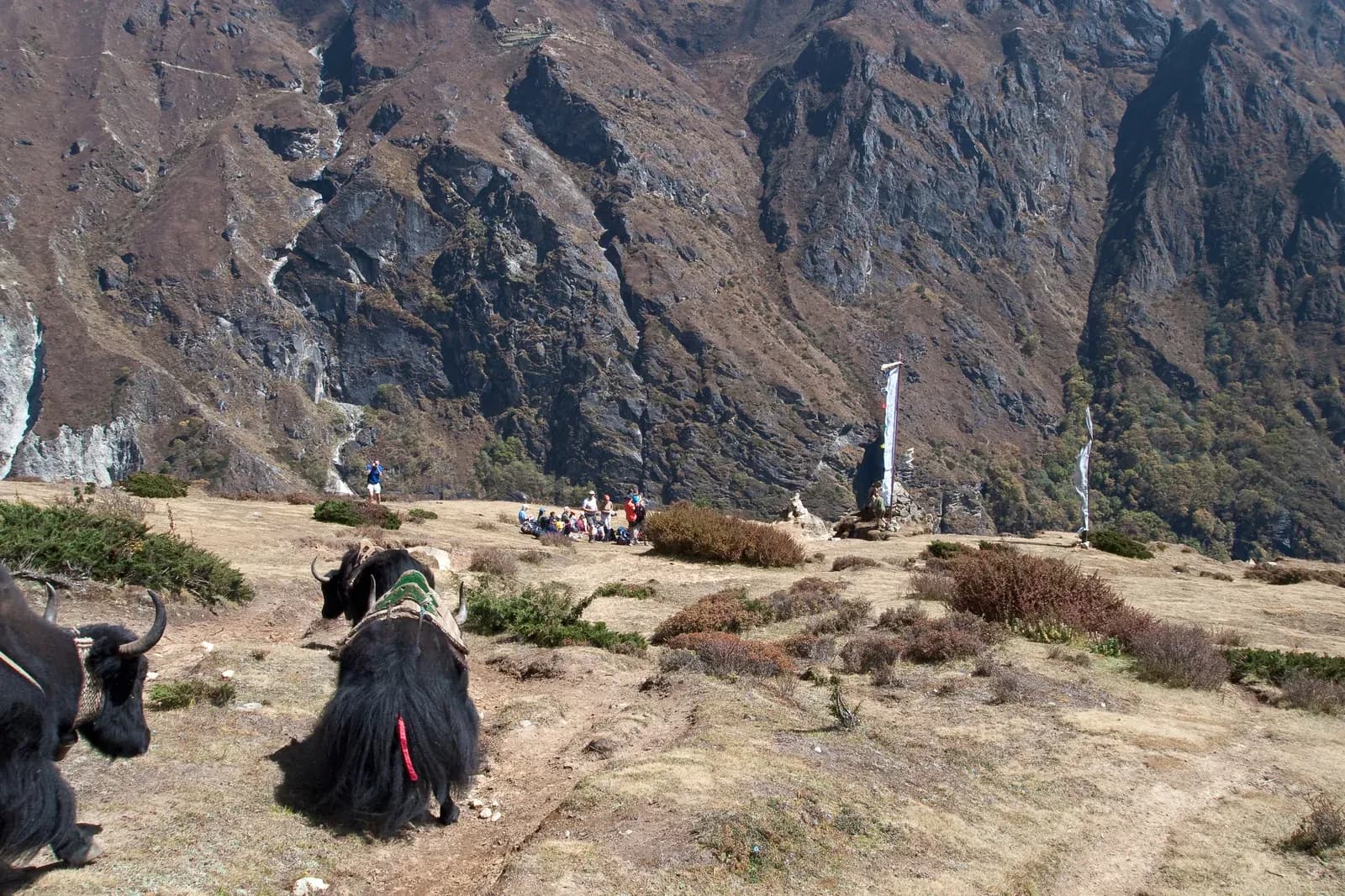 Trail from Namche toward Dole on the Gokyo Lakes trek.