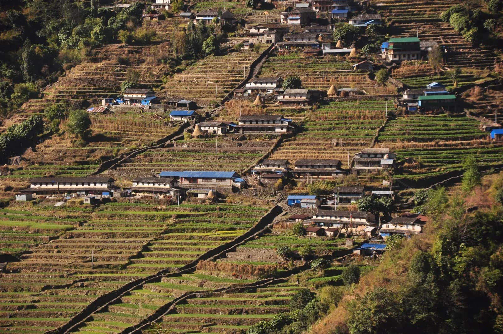 Chhomrong village and stone-step trail on the Annapurna Base Camp route.