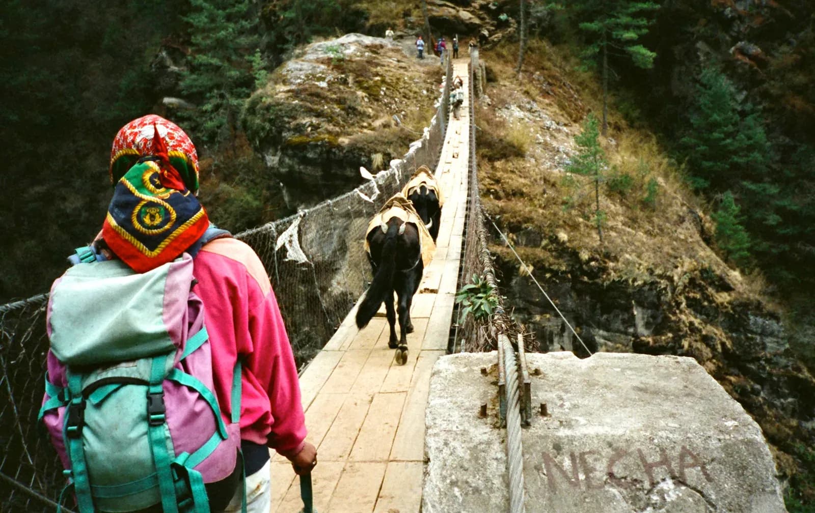 Return trail from Dole toward Namche Bazaar after Gokyo and Cho La.
