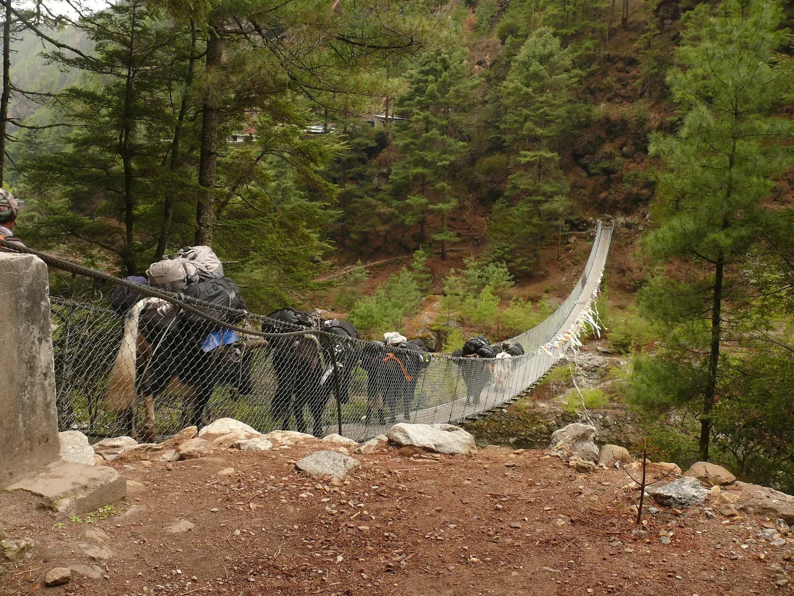 Suspension bridge on the trail to Namche Bazaar during the Gokyo Lakes trek.