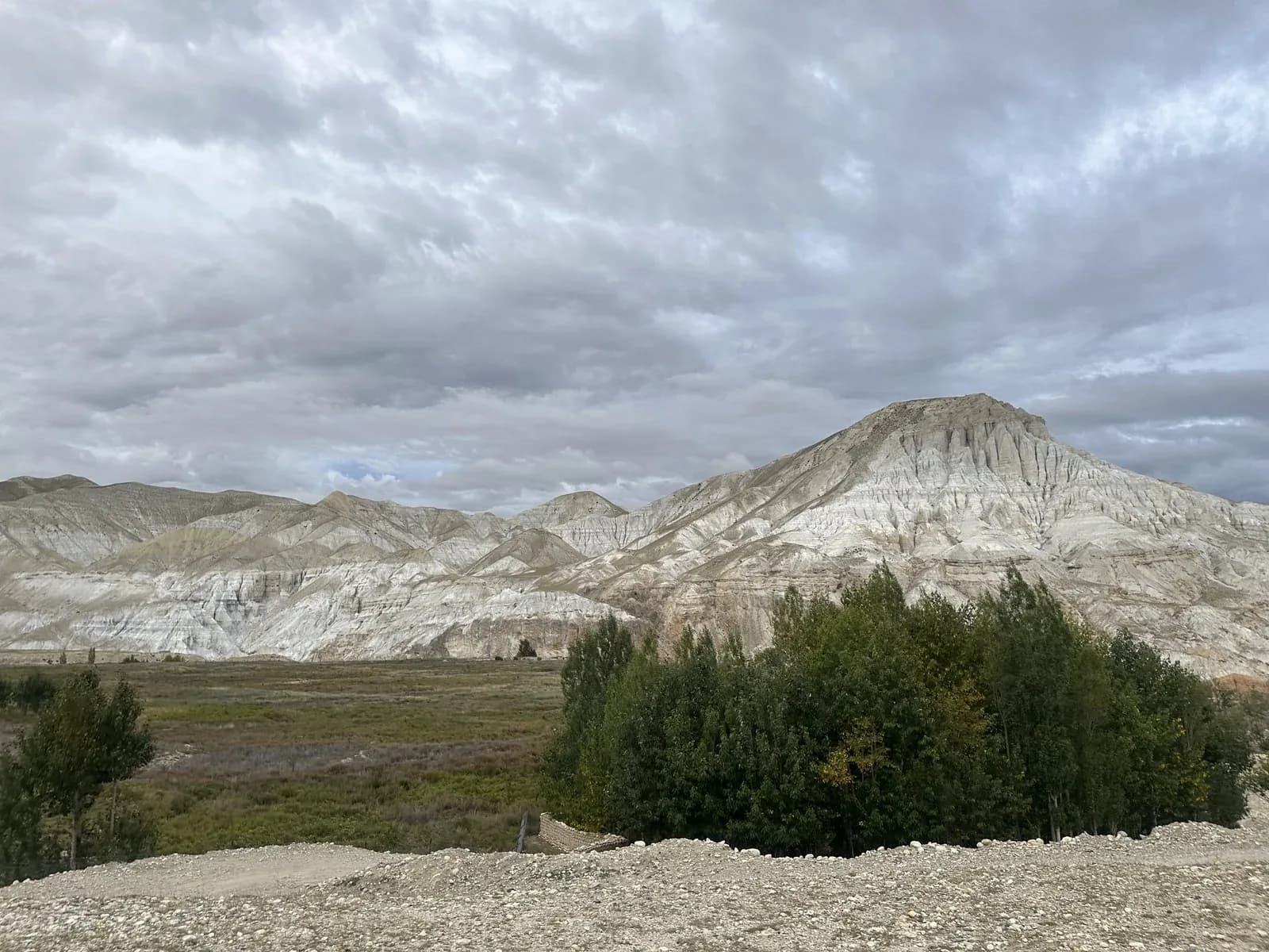 Dry pale cliffs and green trees in the high desert landscape of Upper Mustang.