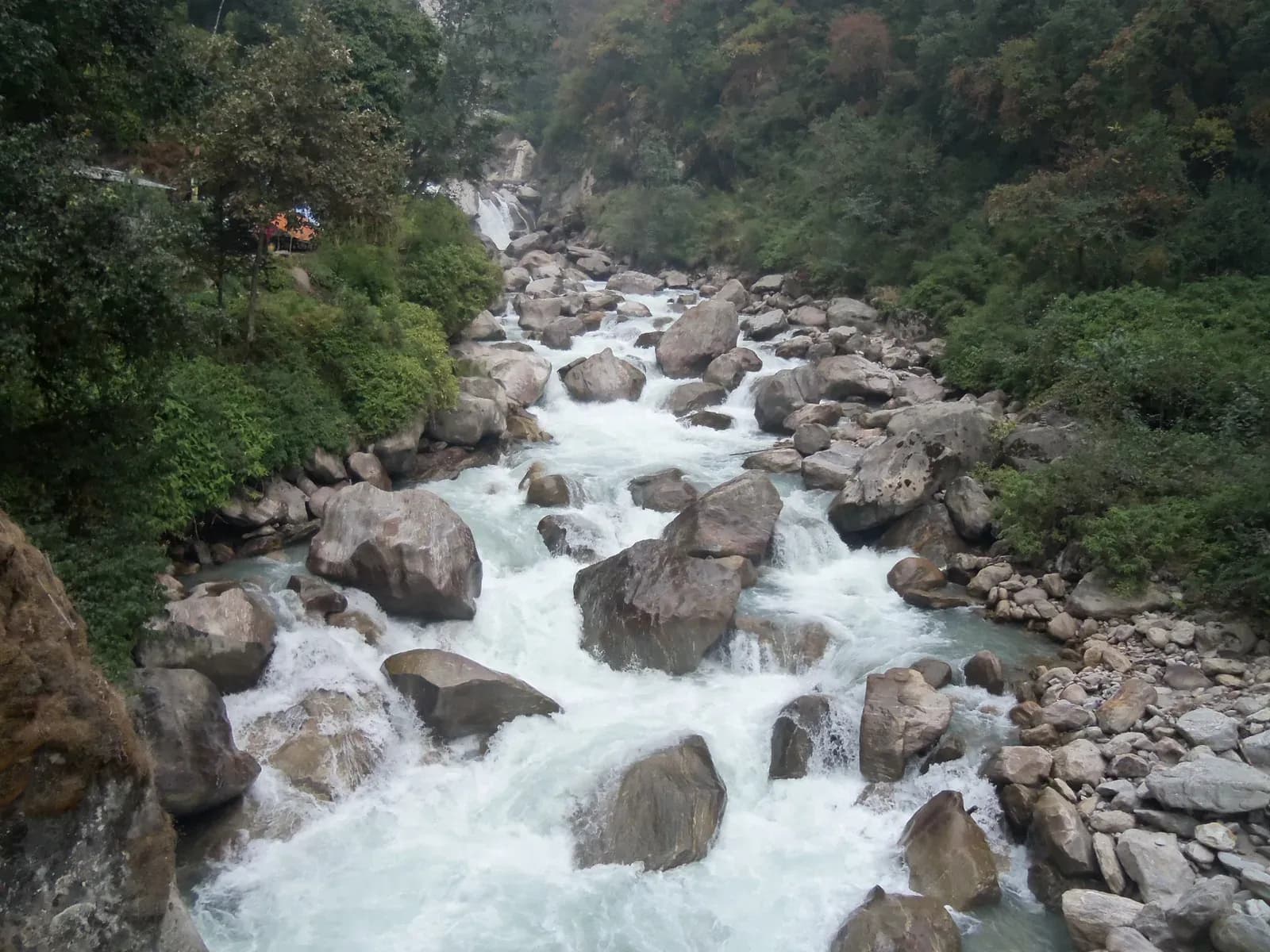 Forest trail along the Langtang Khola from Syabrubesi toward Lama Hotel.