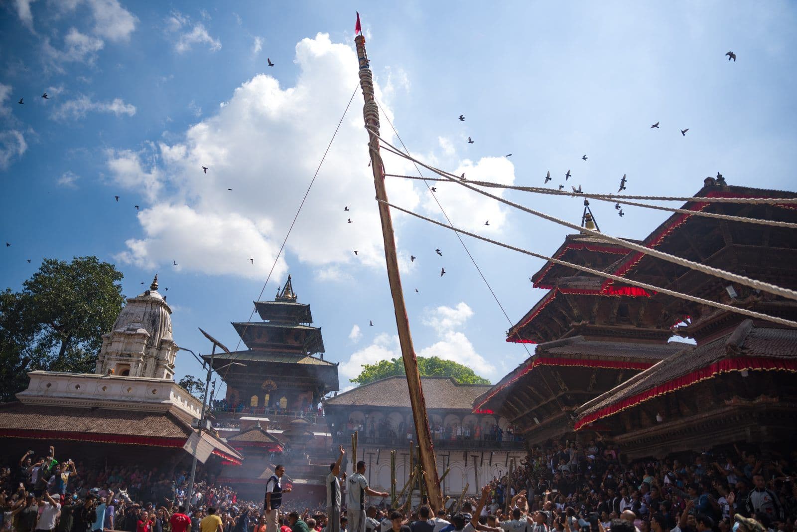 The Indradhoj ceremonial pole raised over a packed Kathmandu Durbar Square at the start of Indra Jatra, with pigeons above the pagoda roofs